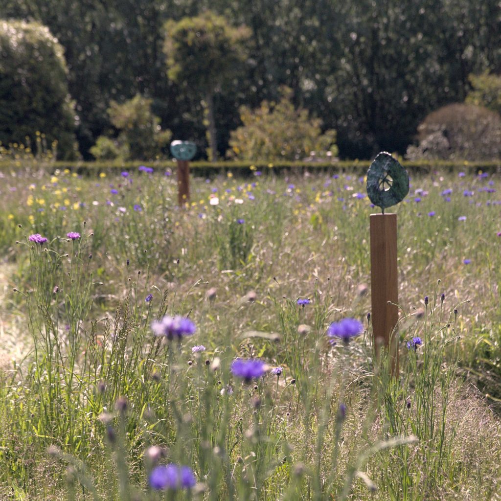 WerkSWinBloemenweide